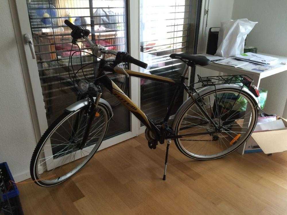 totem city bike