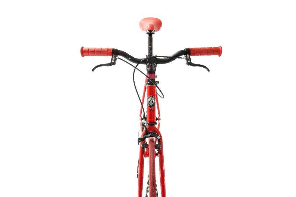 Singlespeed kaufen: POLO & BIKE Rouge Nouveau