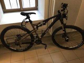  Mountainbike kaufen: ROSE mtb root miller 29'' dark-gold/matt-black Occasion