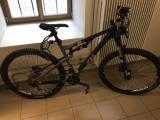 Bikes Mountainbike ROSE mtb root miller 29'' dark-gold/matt-black
