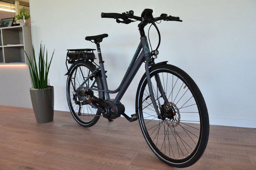 E-Bike kaufen: KRISTALL B-25 Sport Nouveau