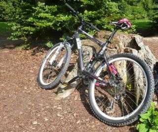  Mountainbike kaufen: KTM Maggie May Occasion