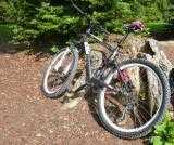 Bikes Mountainbike KTM Maggie May