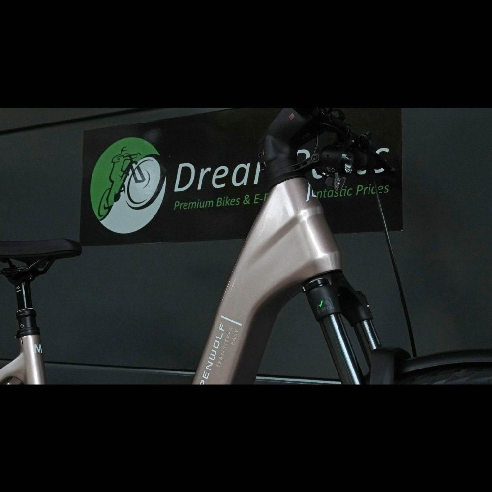 E-Bike kaufen: AARIOS Steppenwolf Transterra Easy 9.0 Riemen Nouveau