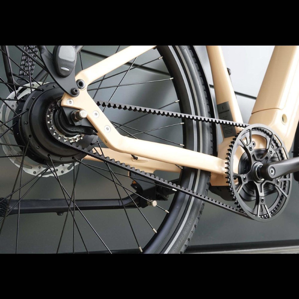 E-Bike kaufen: AARIOS AUREUSDRIVE DailyDrive woman Riemen 720Wh Nouveau