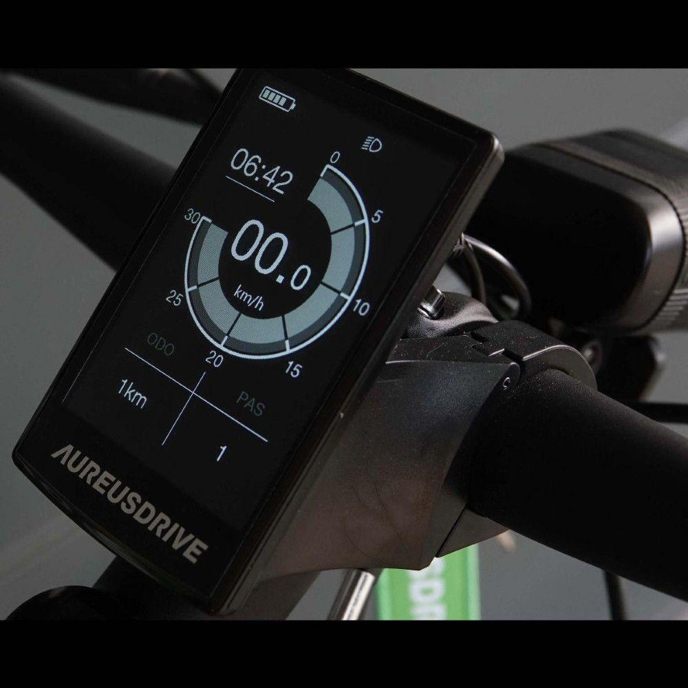 E-Bike kaufen: AARIOS AUREUSDRIVE DailyDrive men Kette 720Wh Nouveau