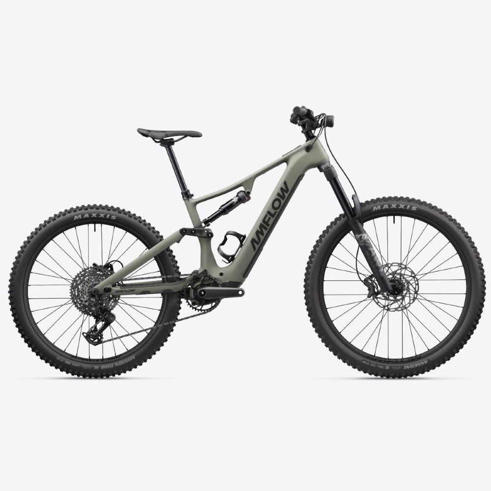 E-Bike kaufen: AVE Amflow PR Carbon 800Wh Neu