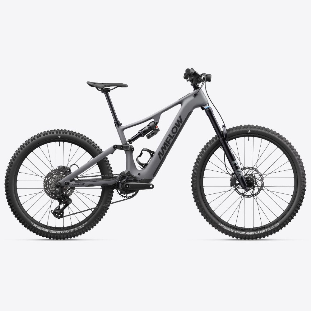 E-Bike kaufen: AVE Amflow PR Carbon Pro 800Wh Neu