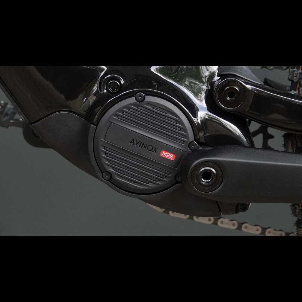 E-Bike kaufen: AVE Amflow PX Carbon 700Wh Occasion