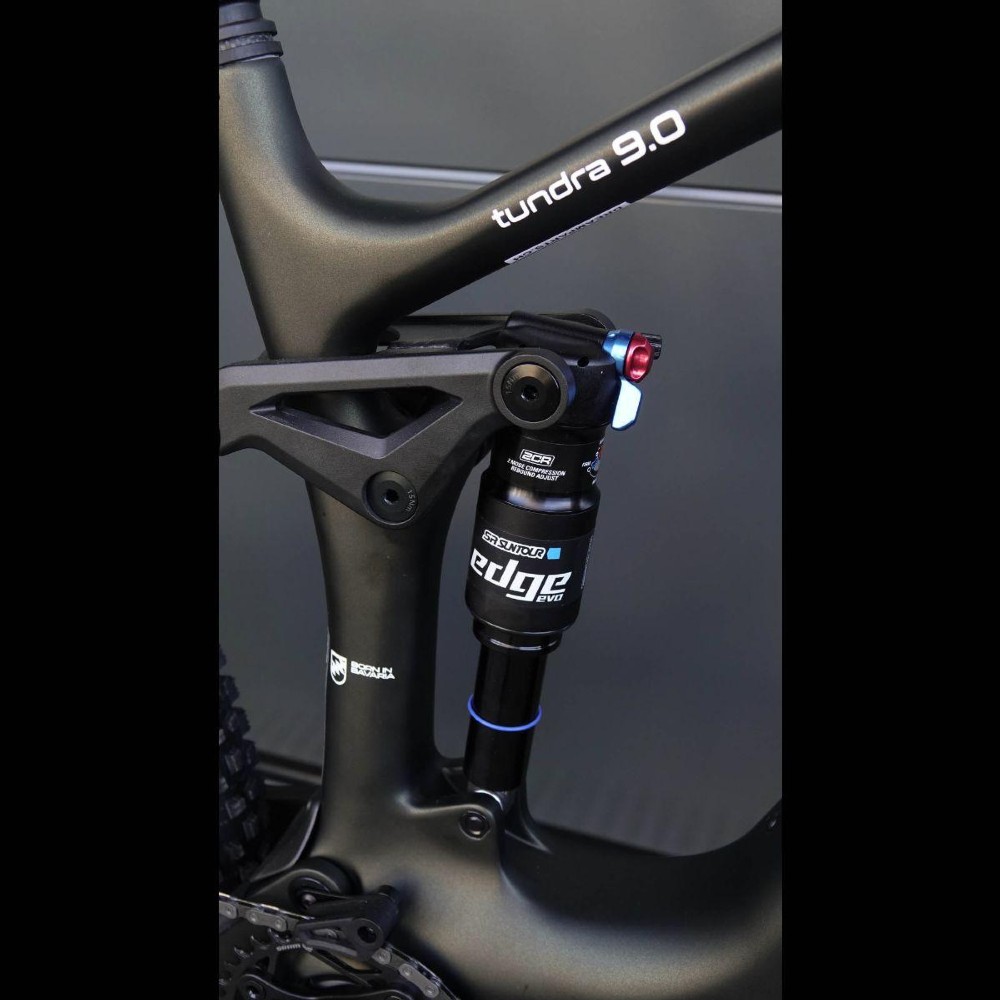 E-Bike kaufen: AVE Steppenwolf Tundra 9.0 DJI/Avinox 800Wh Neu