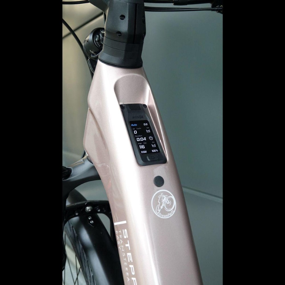 E-Bike kaufen: AARIOS Steppenwolf Transterra Easy 9.0 Riemen Nouveau