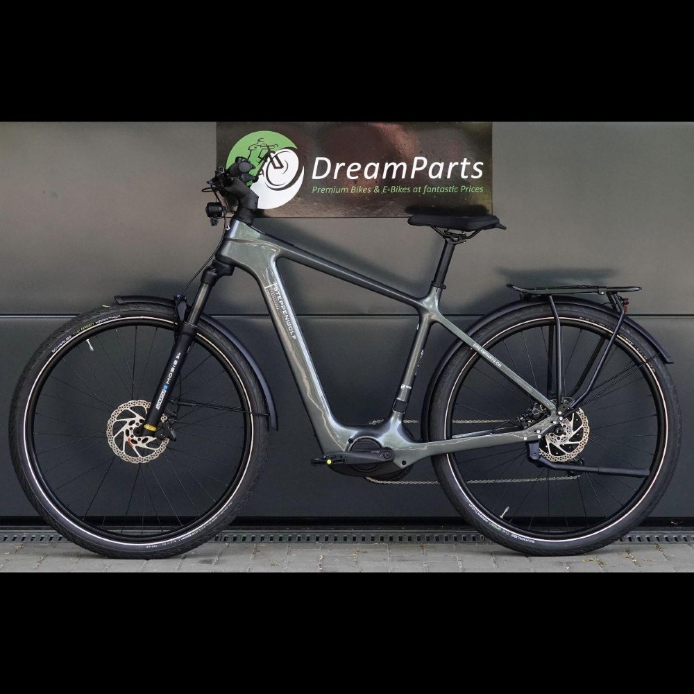E-Bike kaufen: AARIOS Steppenwolf Transterra Sport 9.1 Nouveau