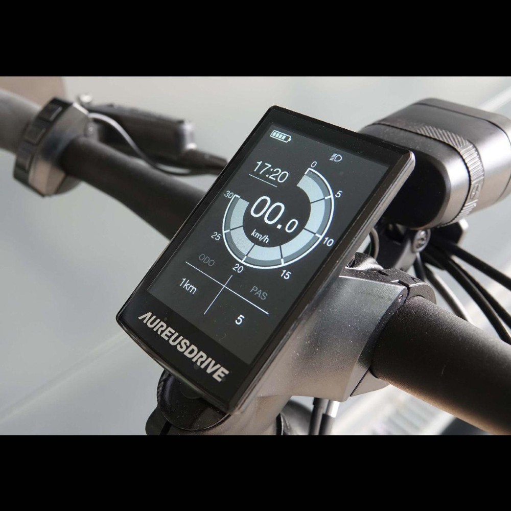 E-Bike kaufen: AARIOS AUREUSDRIVE DailyDrive woman Riemen 720Wh Nouveau