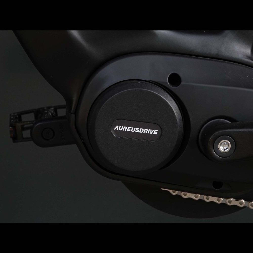 E-Bike kaufen: AARIOS AUREUSDRIVE DailyDrive men Kette 720Wh Nouveau