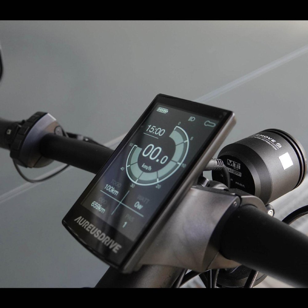 E-Bike kaufen: AARIOS AUREUSDRIVE PowerDrive Demo weiss Pinion Getriebe 45km/h Nouveau