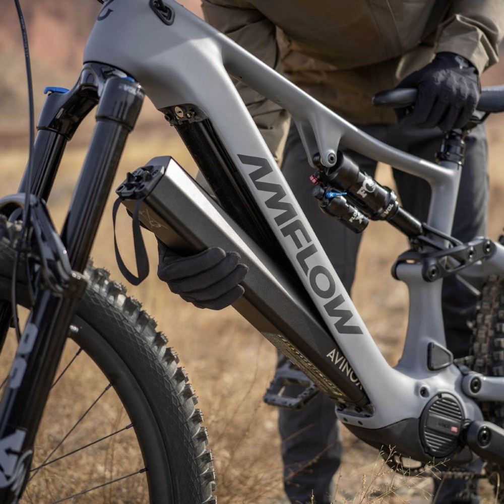 E-Bike kaufen: AVE Amflow PR Carbon Pro 800Wh Neu