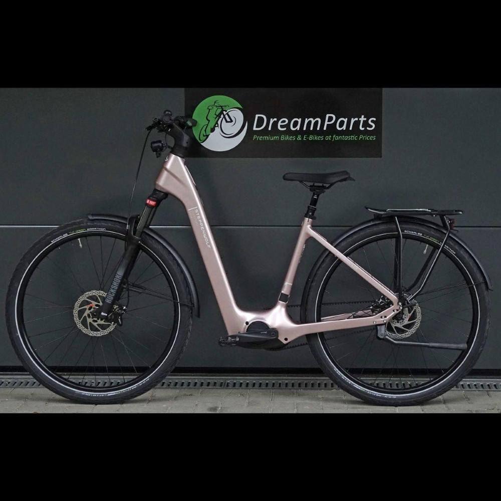 E-Bike kaufen: AARIOS Steppenwolf Transterra Easy 9.0 Riemen Nouveau