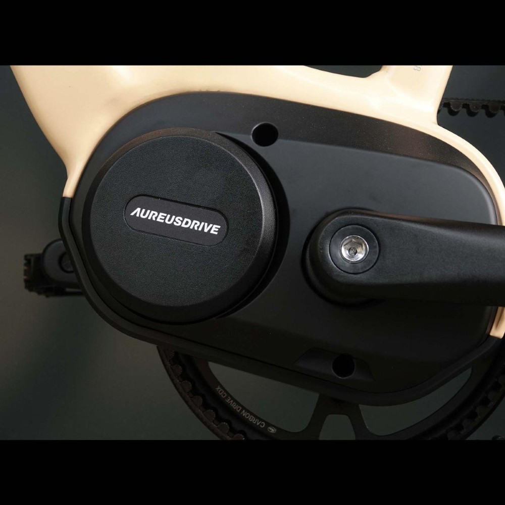 E-Bike kaufen: AARIOS AUREUSDRIVE DailyDrive woman Riemen 720Wh Nouveau