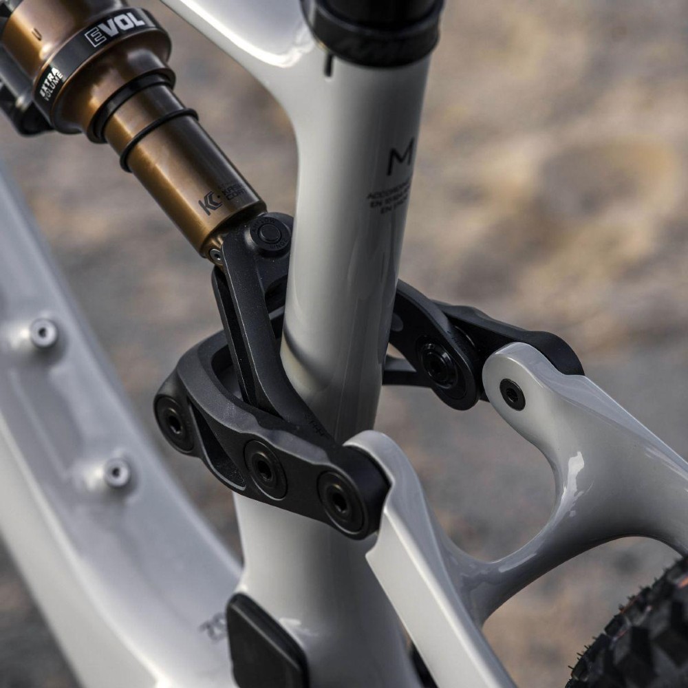 E-Bike kaufen: AVE Amflow PX Carbon Pro 700Wh Neu