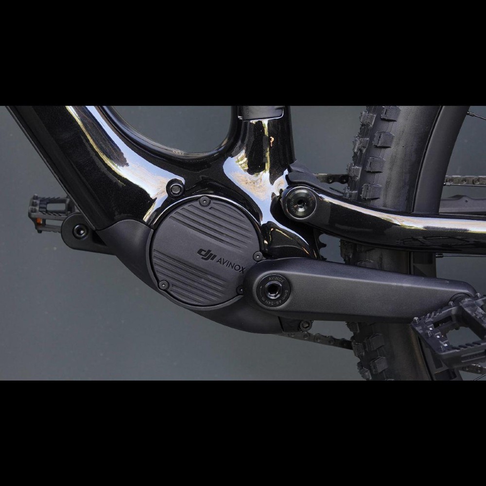 E-Bike kaufen: E-BIKE AMFLOW Carbon Pro black - 800Wh Nouveau