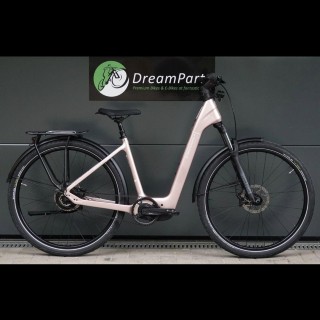 E-Bike kaufen: AARIOS Steppenwolf Transterra Easy 9.0 Riemen Nouveau