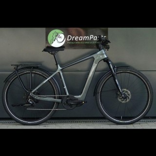 E-Bike kaufen: AARIOS Steppenwolf Transterra Sport 9.1 Nouveau