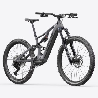 E-Bike kaufen: AVE Amflow PR Carbon Pro 800Wh Neu
