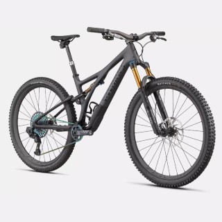  Mountainbike kaufen: SPECIALIZED S-Works Stumpjumper Carbon Neu