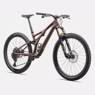  Vélo tout terrain kaufen: SPECIALIZED Stumpjumper Pro Carbon Nouveau
