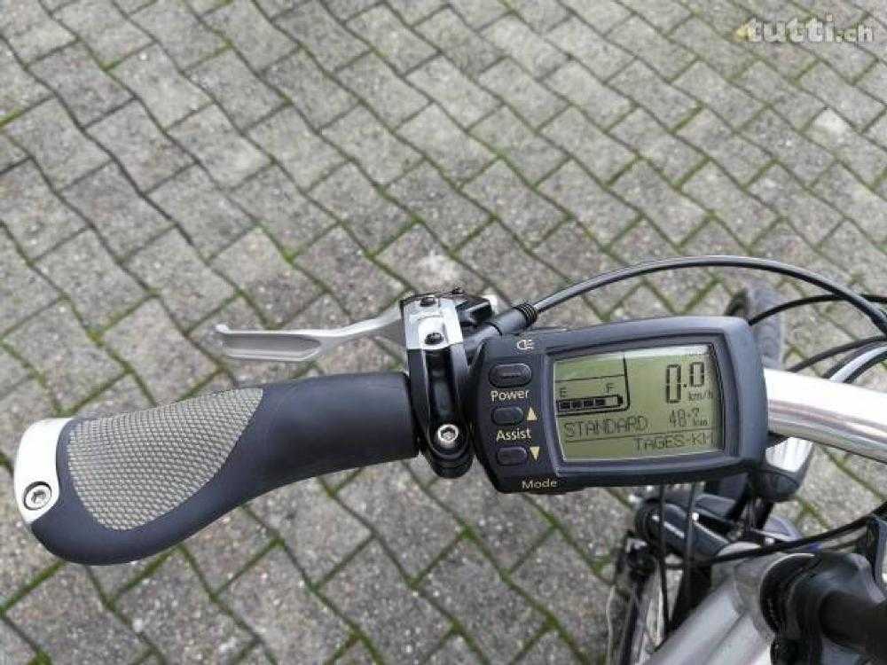 E-Bike kaufen: FLYER L10HS Occasion