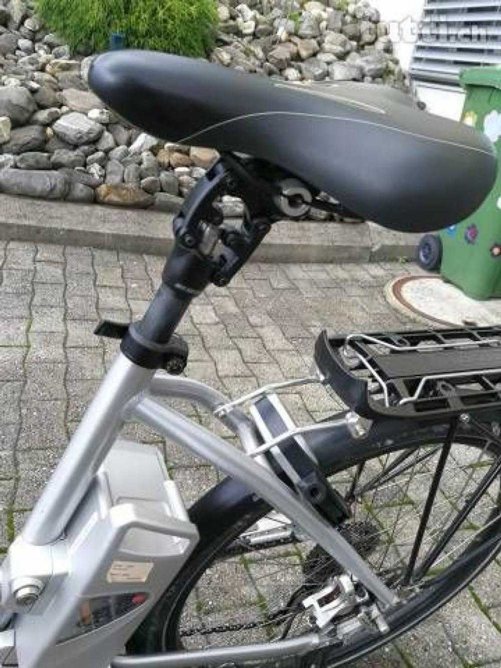 E-Bike kaufen: FLYER L10HS Occasion