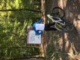 e-Bikes Mountainbike FLYER UP ROC 1