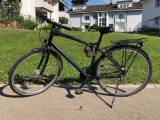 Specialized globe sales en14764