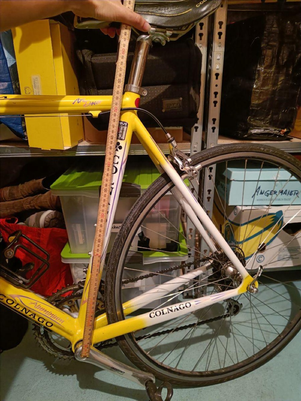 Rennvelo kaufen: COLNAGO Dream Soft Paint Occasion