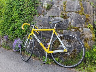  Rennvelo kaufen: COLNAGO Dream Soft Paint Occasion