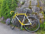 Bikes Rennvelo COLNAGO Dream Soft Paint