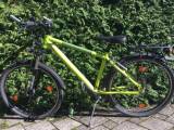 Bikes Kindervelo CRESTA Arena Roadster