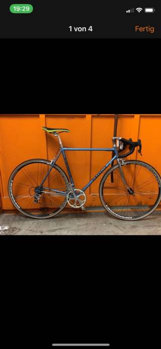 Rennvelo kaufen: PINARELLO Veneto Occasion