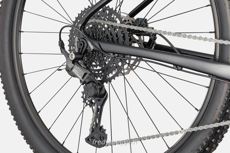 Mountainbike kaufen: CANNONDALE TRAIL 1 L BLACK Neu