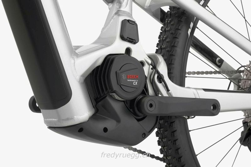 E-Bike kaufen: CANNONDALE MOTERRA NEO 3 L SILBER Nouveau