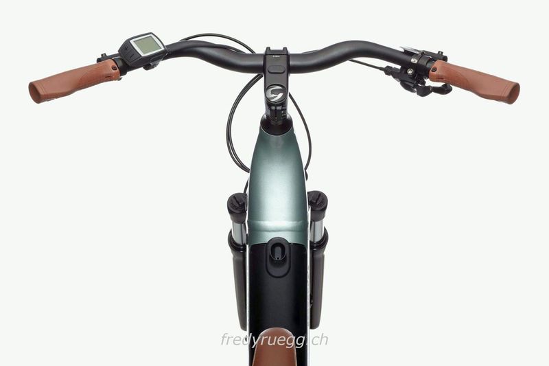 E-Bike kaufen: CANNONDALE ADVENTURE NEO 2 EQ L SAGE GRAY Nouveau