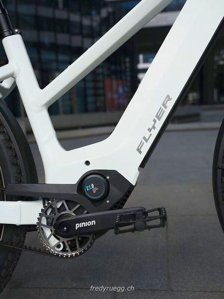 E-Bike kaufen: FLYER GOROC TR 7.33 MIXED L PEARL WHITE Neu