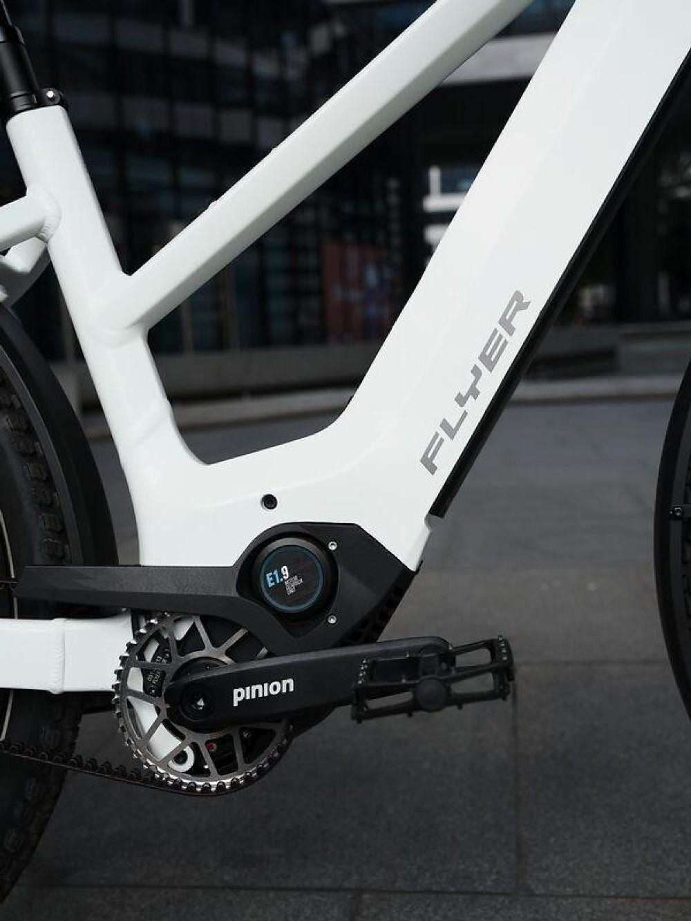 E-Bike kaufen: FLYER Goroc TR 7.33 Mixed L white Nouveau