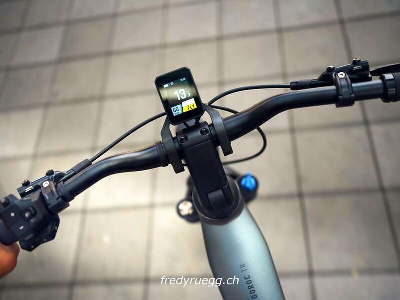 E-Bike kaufen: FLYER GOROC TR 7.33 COMFORT M BLACK SHADING Neu