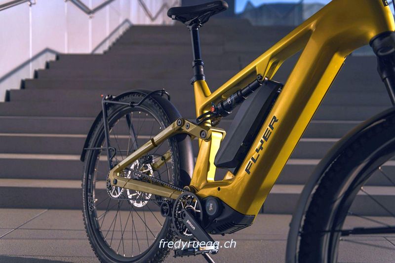 E-Bike kaufen: FLYER GOROC TR:X 4.63 FS M CURCUMA Nouveau