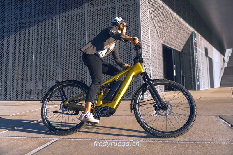 E-Bike kaufen: FLYER GOROC TR:X 8.63 FS L CURCUMA Nouveau