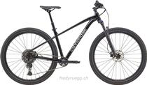  Mountainbike kaufen: CANNONDALE TRAIL 1 L BLACK Neu