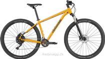 Bikes Mountainbike CANNONDALE TRAIL 5 M GELB SCHWARZ