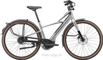 E-Bike kaufen: CANNONDALE FLYINGV 1 L SILBER Neu