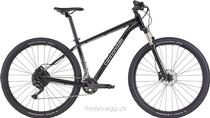 Bikes Vélo tout terrain CANNONDALE TRAIL 5 S GRAPHITE